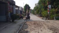 IMG-20260806-WA0009